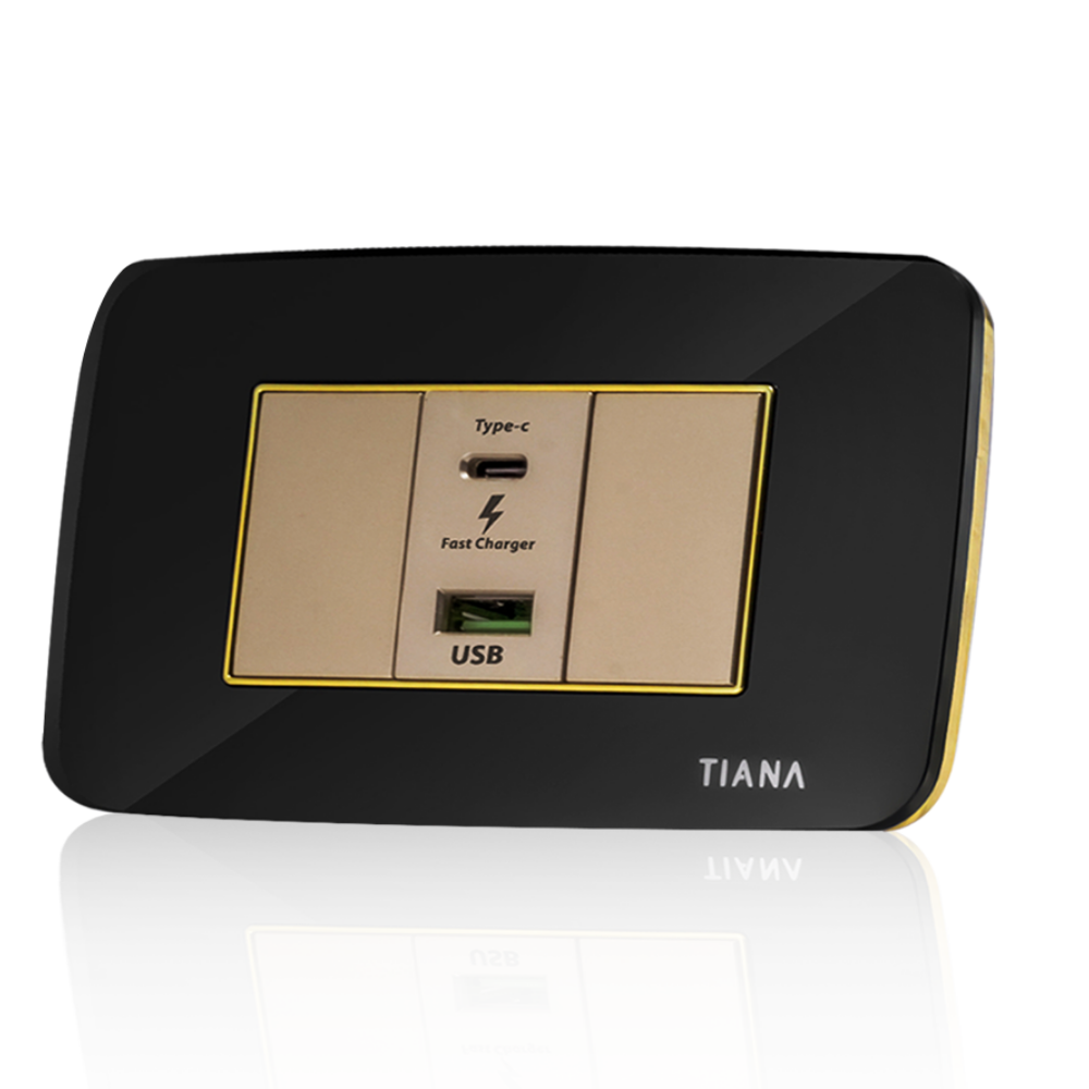 Tiana Acrylic frame - Black / Gold