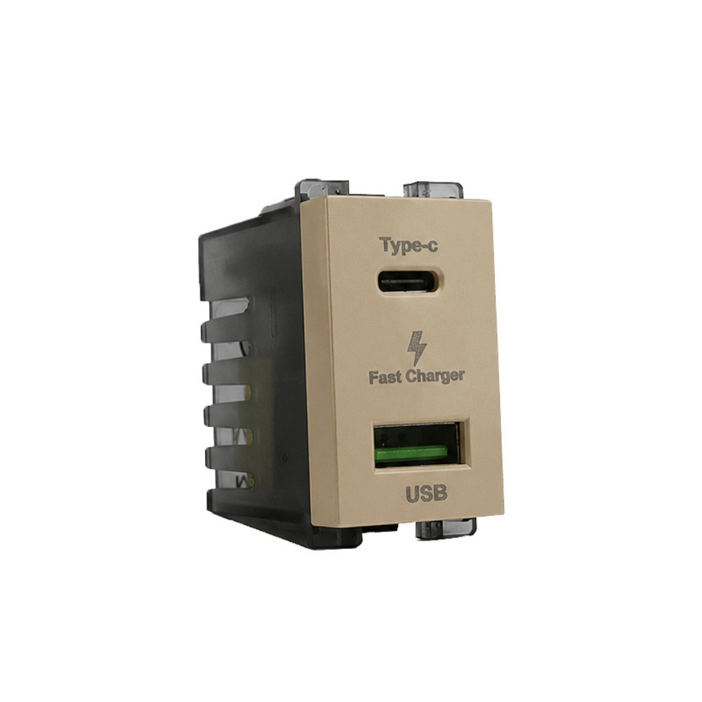 Tiana Double USB（A+TYPE C）24mm - Champagne